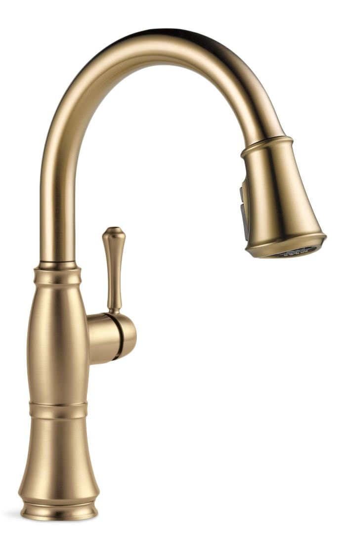 Cassidy 1-Handle ShieldSpray Pull-Down Kitchen Faucet, Champagne Bronze