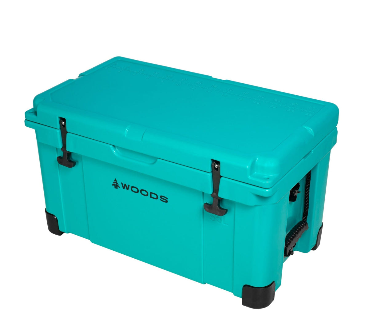 ARCTIC Roto-Moulded Cooler, 55-L, Turquoise