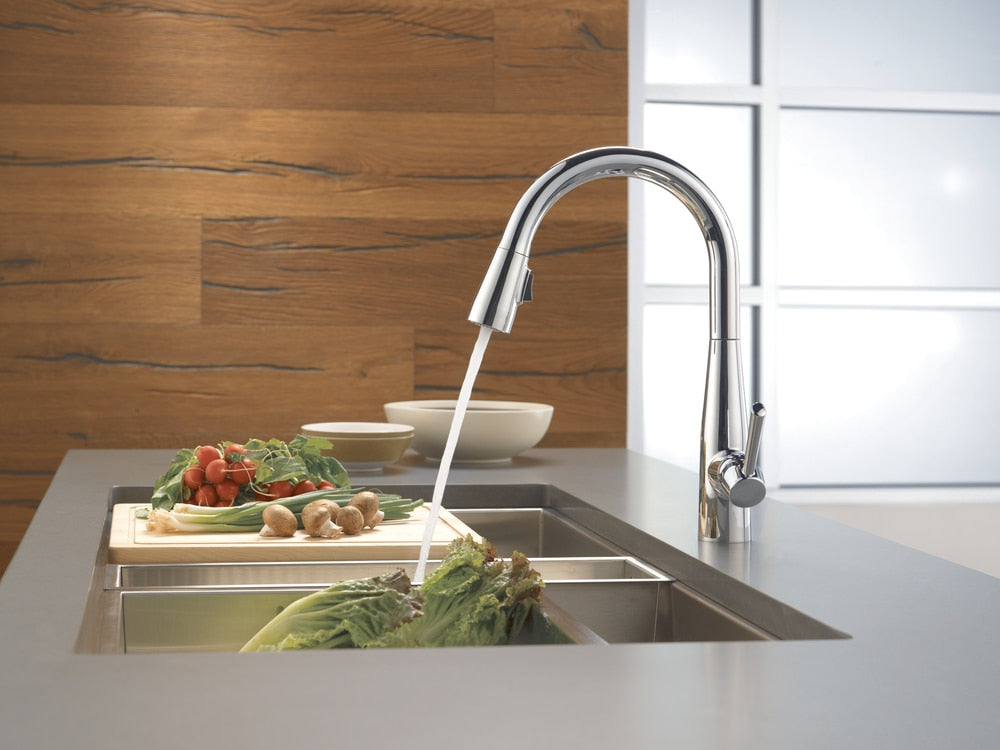 1-Handle Pull-Down Kitchen Faucet, Chrome