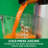 Wide Mouth Cold Press Slow Juicer with Anti-Clog