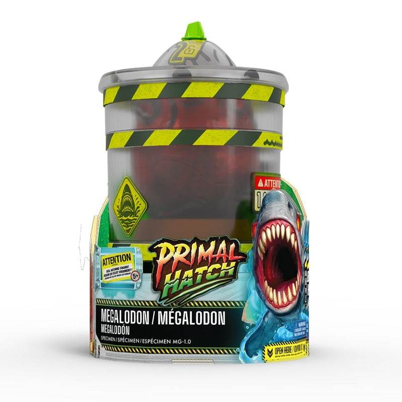 Megalodon Shark A7