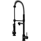 Zurich Kitchen Faucet, Matte Black