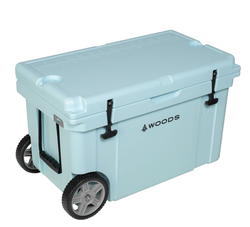 ARCTIC Wheeled Roto-Moulded Cooler with Handle, 65-L, Light Blue N8